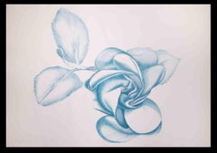 Vintage Blue Rose - Etching by Giacomo Porzano - 1970s