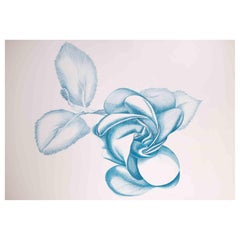Blue Rose - Original Etching by Giacomo Porzano - 1970s