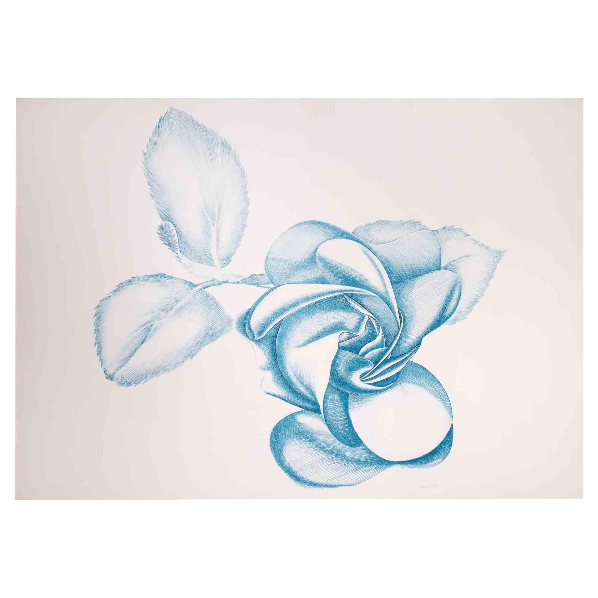 Blue Rose is an original contemporary artwork realized by Giacomo Porzano in 1970s.

Colored etching

Hand-signed on the lower right.

Numbered on the lower left.

Edition 26/50

Giacomo Porzano was born in Lerici on November 21, 1925 and died in
