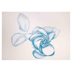 Blue Rose - Original Etching by Giacomo Porzano - 1970s