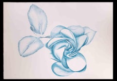 Le rose bleu  Gravure de Giacomo Porzano - Années 1970