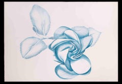 Rose bleue - Gravure originale de Giacomo Porzano - 1970