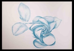 Rose bleue - Gravure originale de Giacomo Porzano - 1970