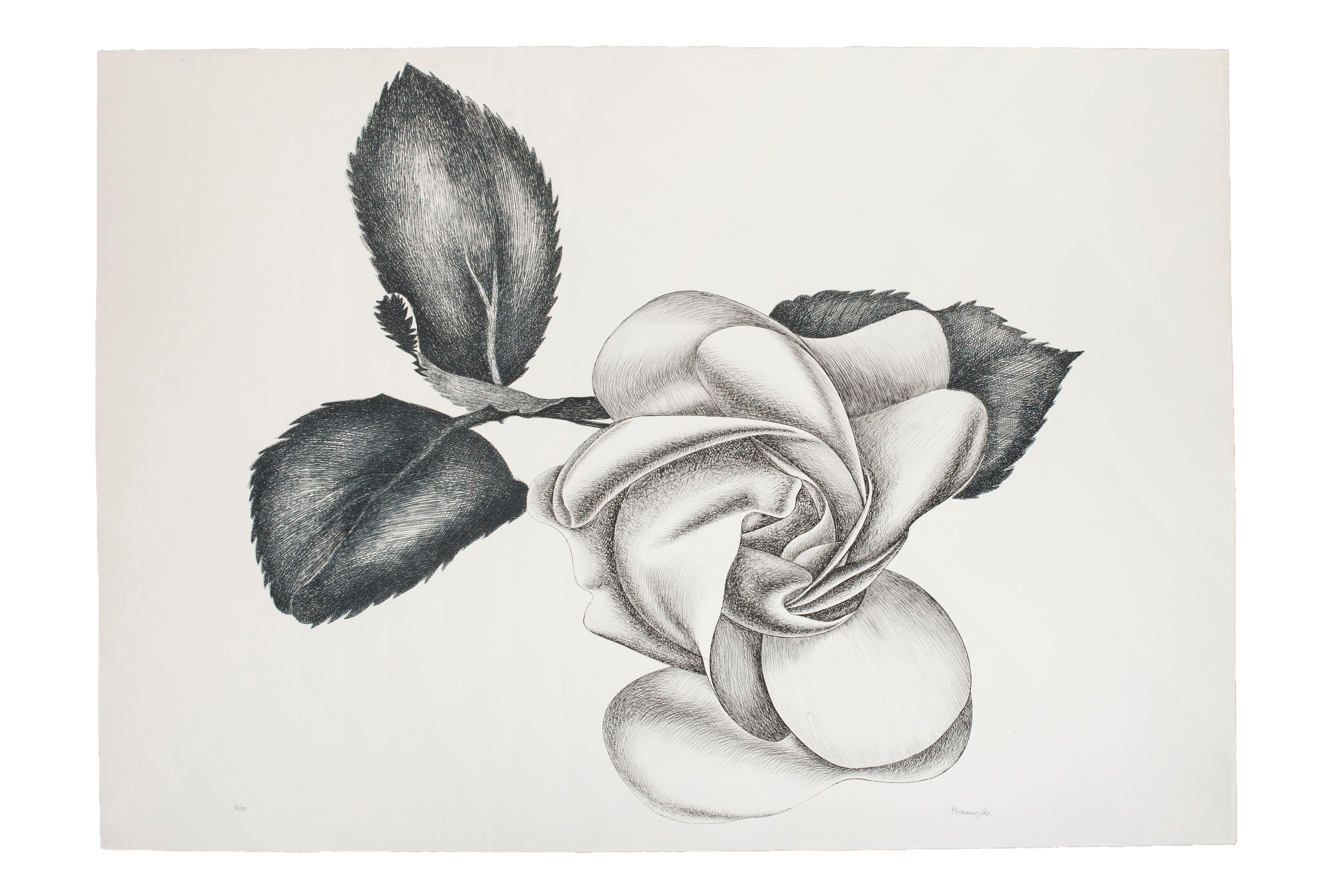 Black Rose is a beautiful original black and white etching on paper, realized by the Italian artist Giacomo Porzano (1925-2006).

Hand-signed, dated and numbered in Arabic numerals by the artist in pencil on lower margin.

Edition of 50 prints