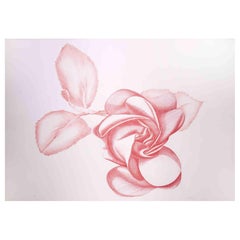 Rote Rose - Original-Radierung von Giacomo Porzano - 1970er Jahre