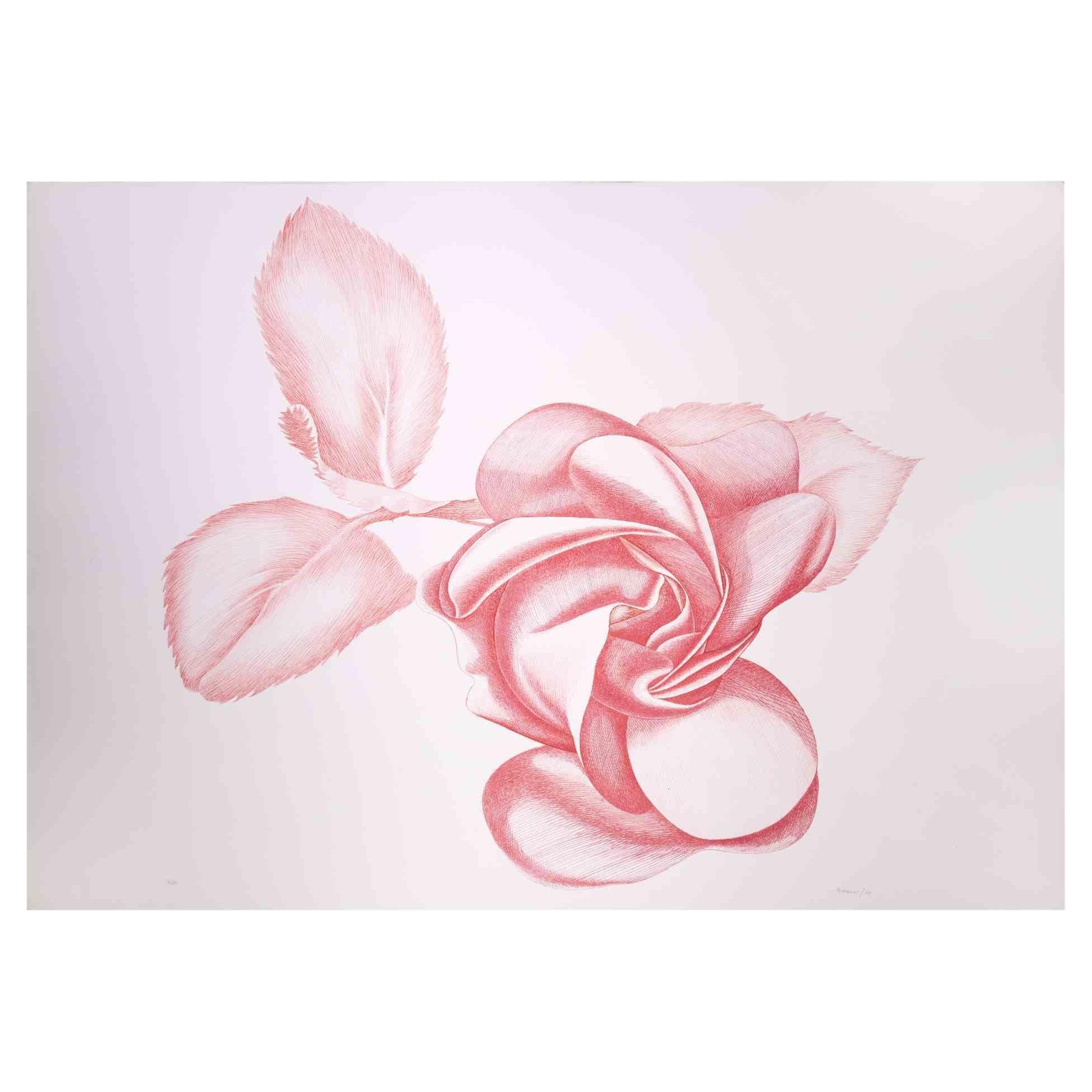 Red Rose - Original Etching by Giacomo Porzano - 1970s