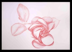 Retro Red Rose - Original Etching by Giacomo Porzano - 1970s