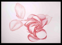 Rose rouge - Gravure originale de Giacomo Porzano - 1970