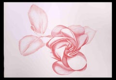 Vintage Red Rose -  Etching by Giacomo Porzano - 1970s