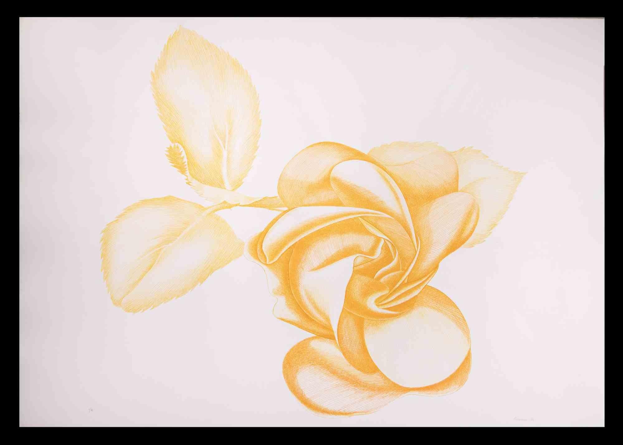 Yellow Rose is a modern artwork realized by the Italian artist Giacomo Porzano (1925-2006) in 1972.

Mixed colored etching.

Hand-signed and dated on the lower right. Edition I/X



Giacomo Porzano was born in Lerici on November 21, 1925 and died in