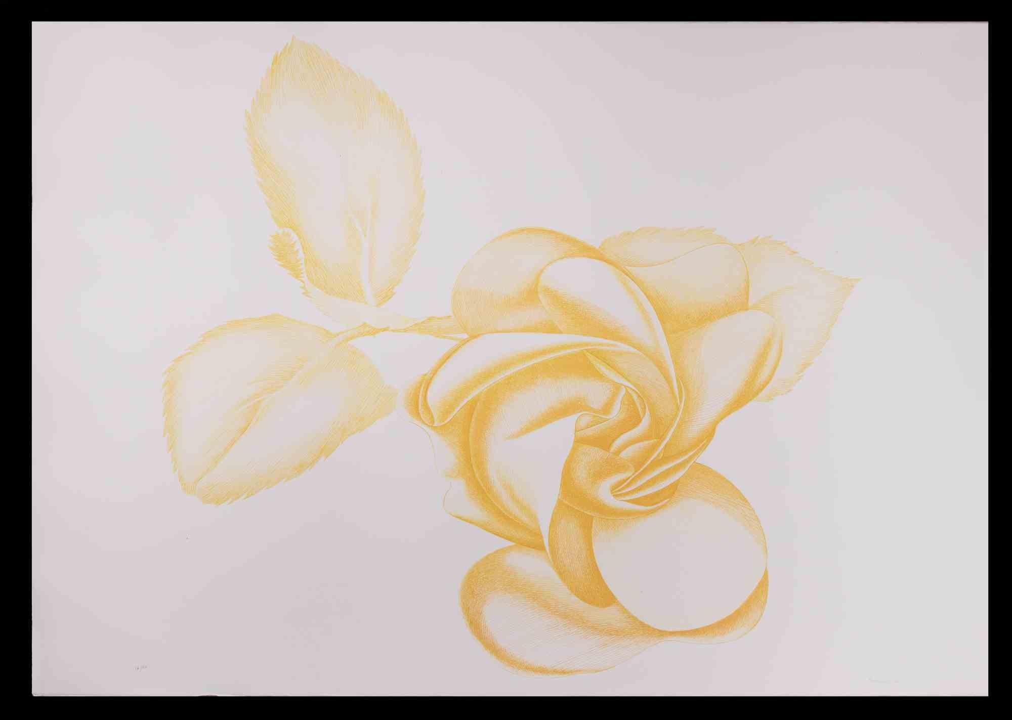 Yellow Rose is an original modern artwork realized by the Italian artist Giacomo Porzano (1925-2006) in 1972

Mixed colored etching.

Hand-signed and dated on the lower right. Edition 16/50.