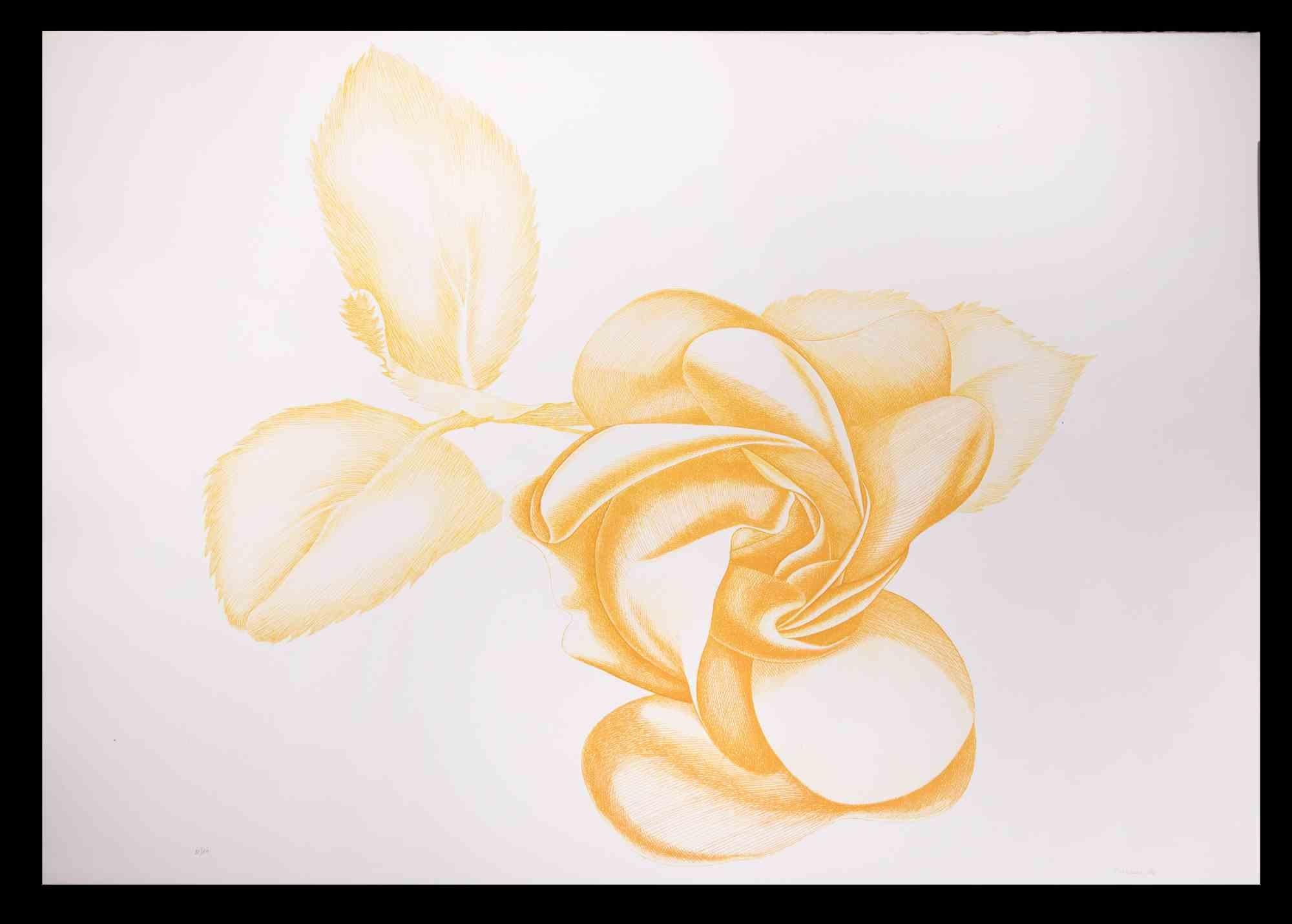 Yellow Rose est une œuvre d'art moderne originale réalisée par l'artiste italien Giacomo Porzano (1925-2006) en 1972.

Gravure en couleurs mélangées.

Signé à la main et daté en bas à droite. Edition 31/50.


Giacomo Porzano est né à Lerici le 21