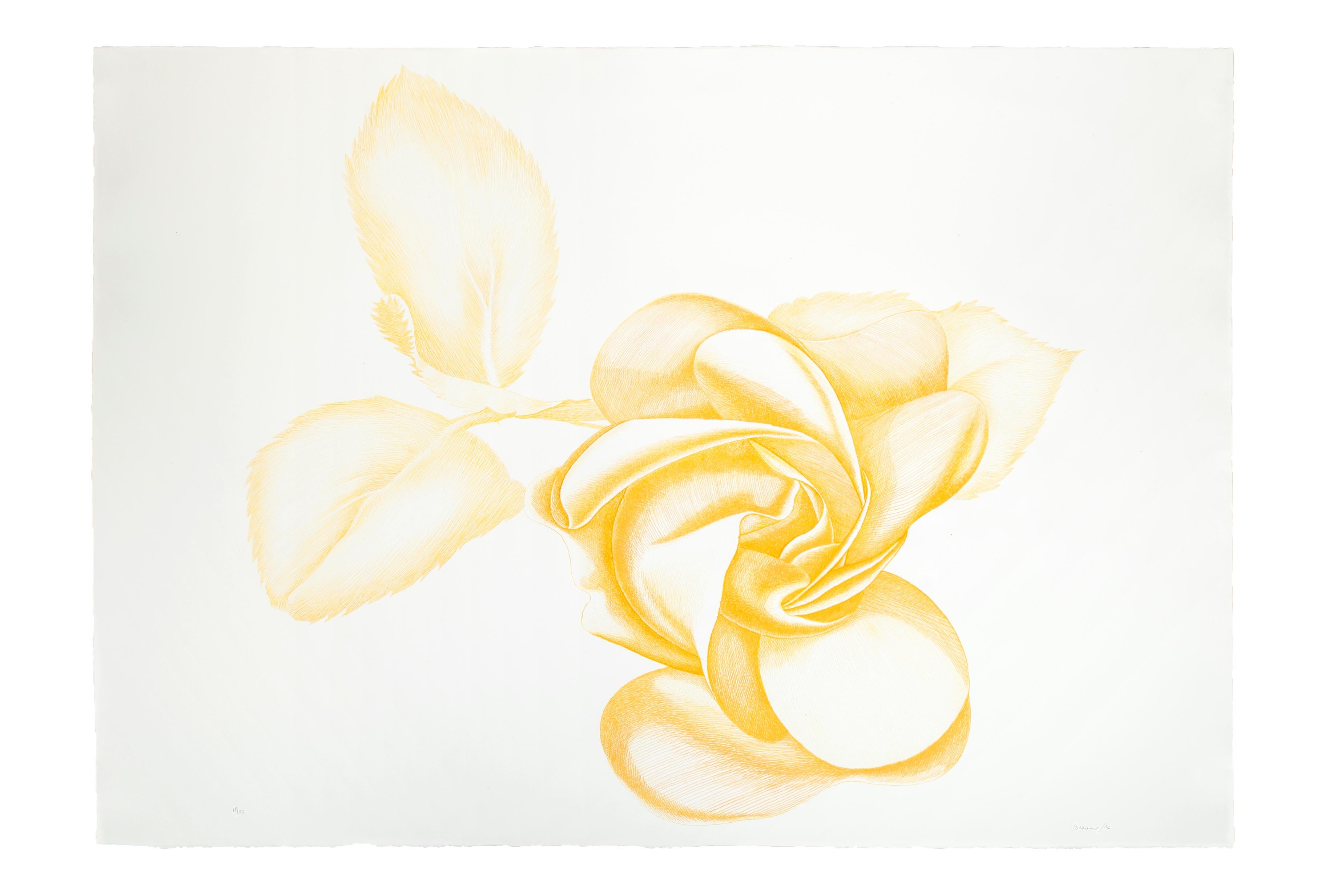 Yellow Rose - Original Etching by Giacomo Porzano - 1972