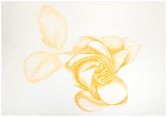 Yellow Rose - Original Etching by Giacomo Porzano - 1972