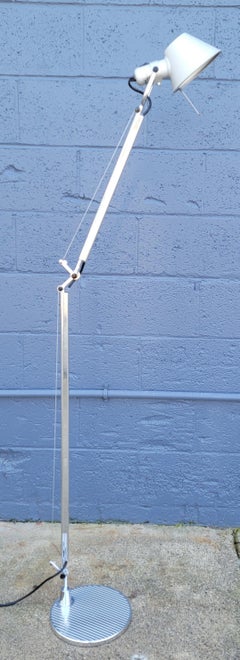 Giancarlo Fassina for Artemide "Tolomeo" Floor Lamp