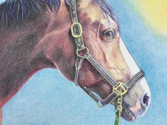 Incredible realist pencil sketch "Equus" a classic study by Impiglia, horse