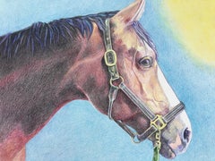 Modern drawing, pencil, sketch, "Equus," horse, equestrian by Impiglia