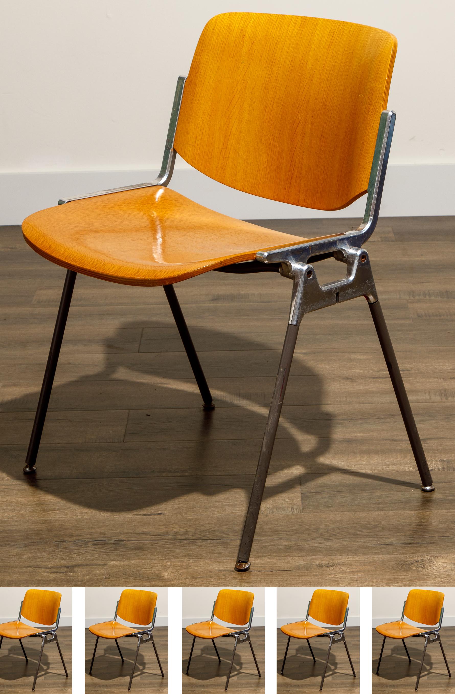 Giancarlo Piretti per Castelli 'DSC 106' Sedie da pranzo impilabili, 1965 circa, Firmate in vendita 6