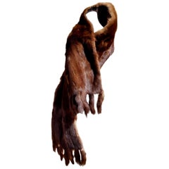 Gianfranco FERRÉ "New" Dark Brown Russian Wild Barguzinsky Sable Fur Stole