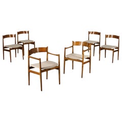 Gianfranco Frattini Chair Stained Beech Sessile Oak Foam Fabric, 1960s Gianfranco Frattini Chair Stained Beech Sessile Oak Foam Fabric, 1960s