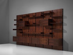 Gianfranco Frattini Grand Wall Unit in Exotic Hardwood