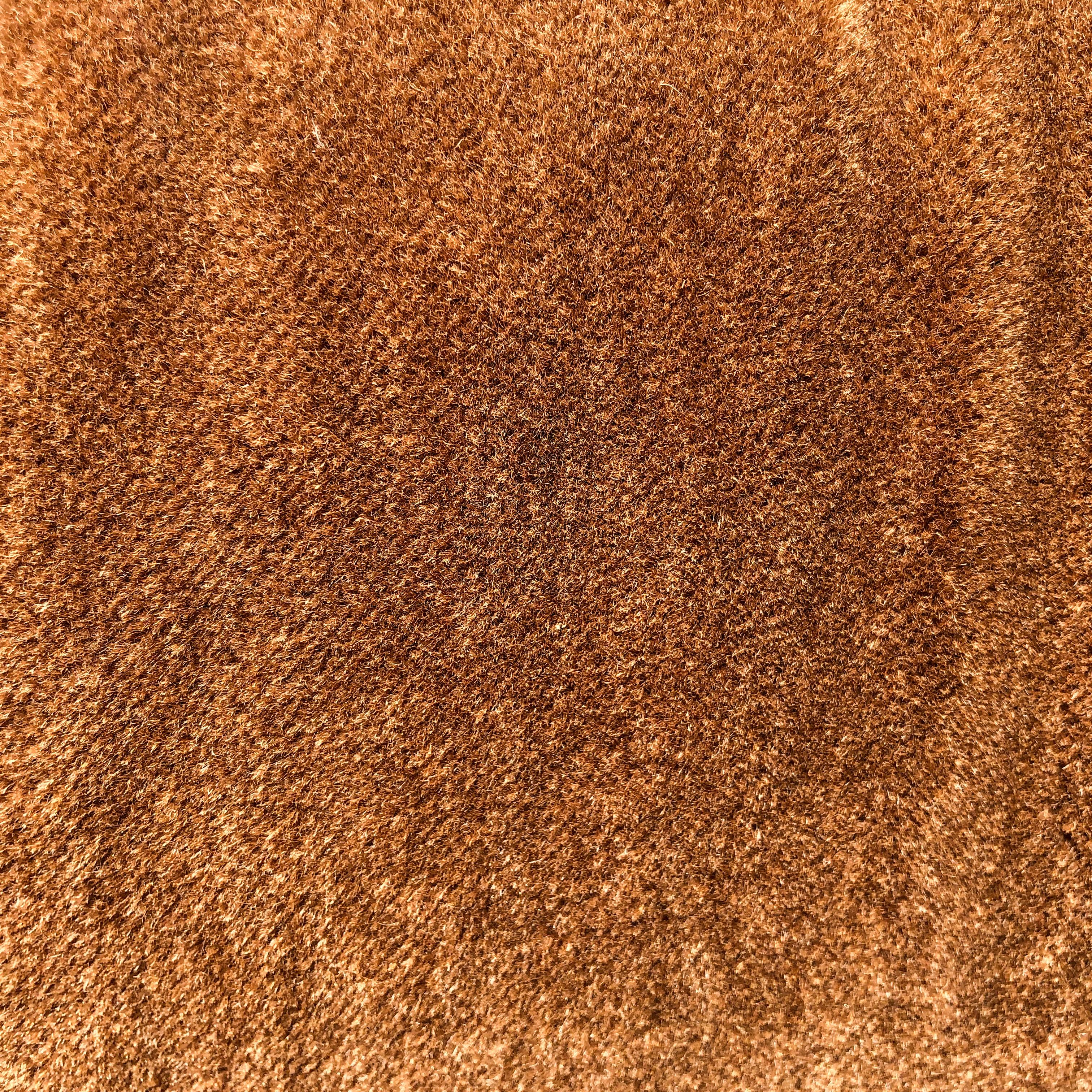 Gianfranco Frattini Tobacco Alpaca Velvet Sesann Lounge Chair per Cassina, 1972 in vendita 8
