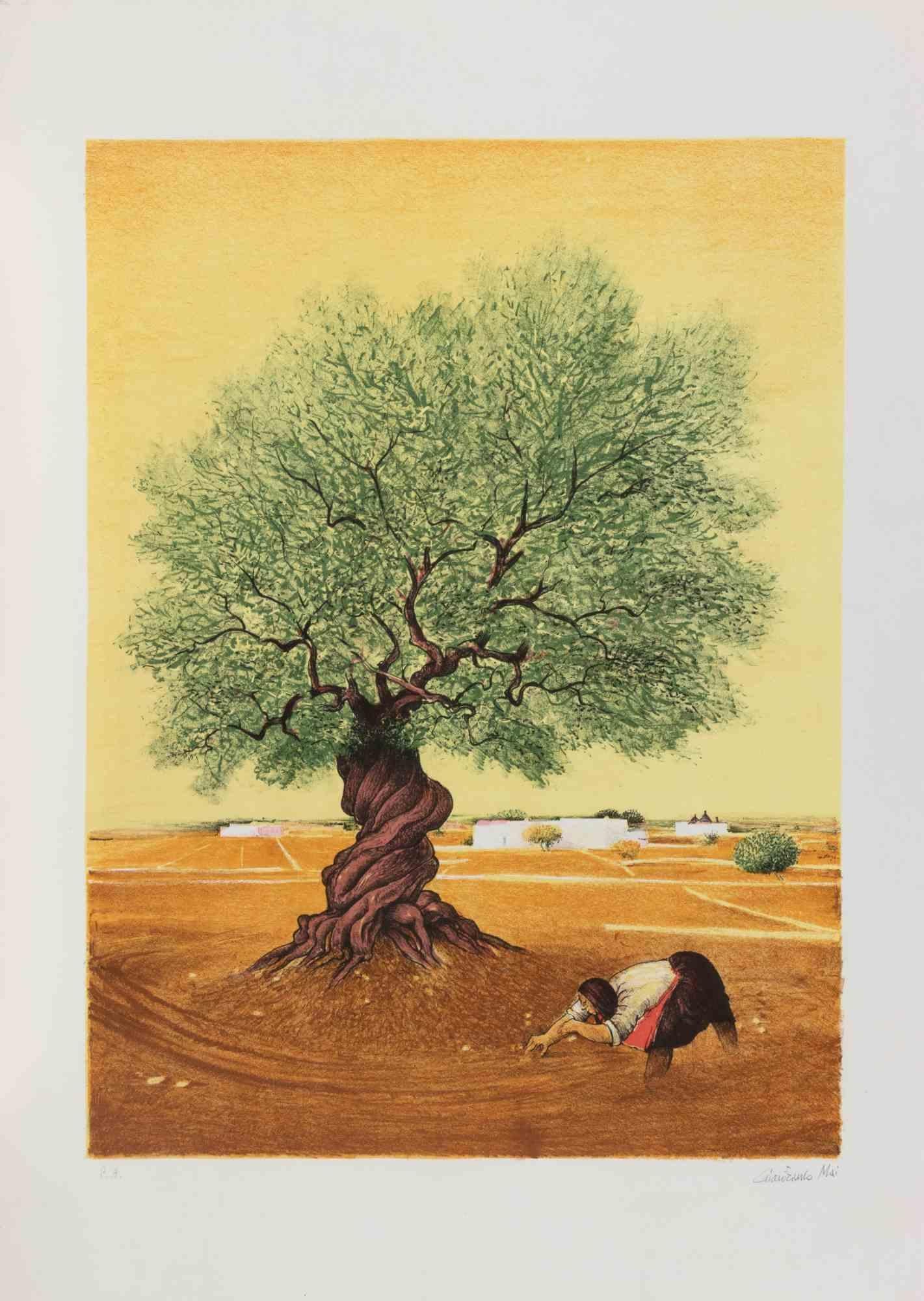 Screen print realized in 1981.

Hand signed in pencil.

Artist Proof.

Very good condition.