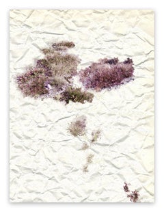 VIII: The Unselfconsciousness Of Eros (Abstract Photography)