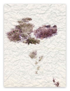 Beige Colour Photography