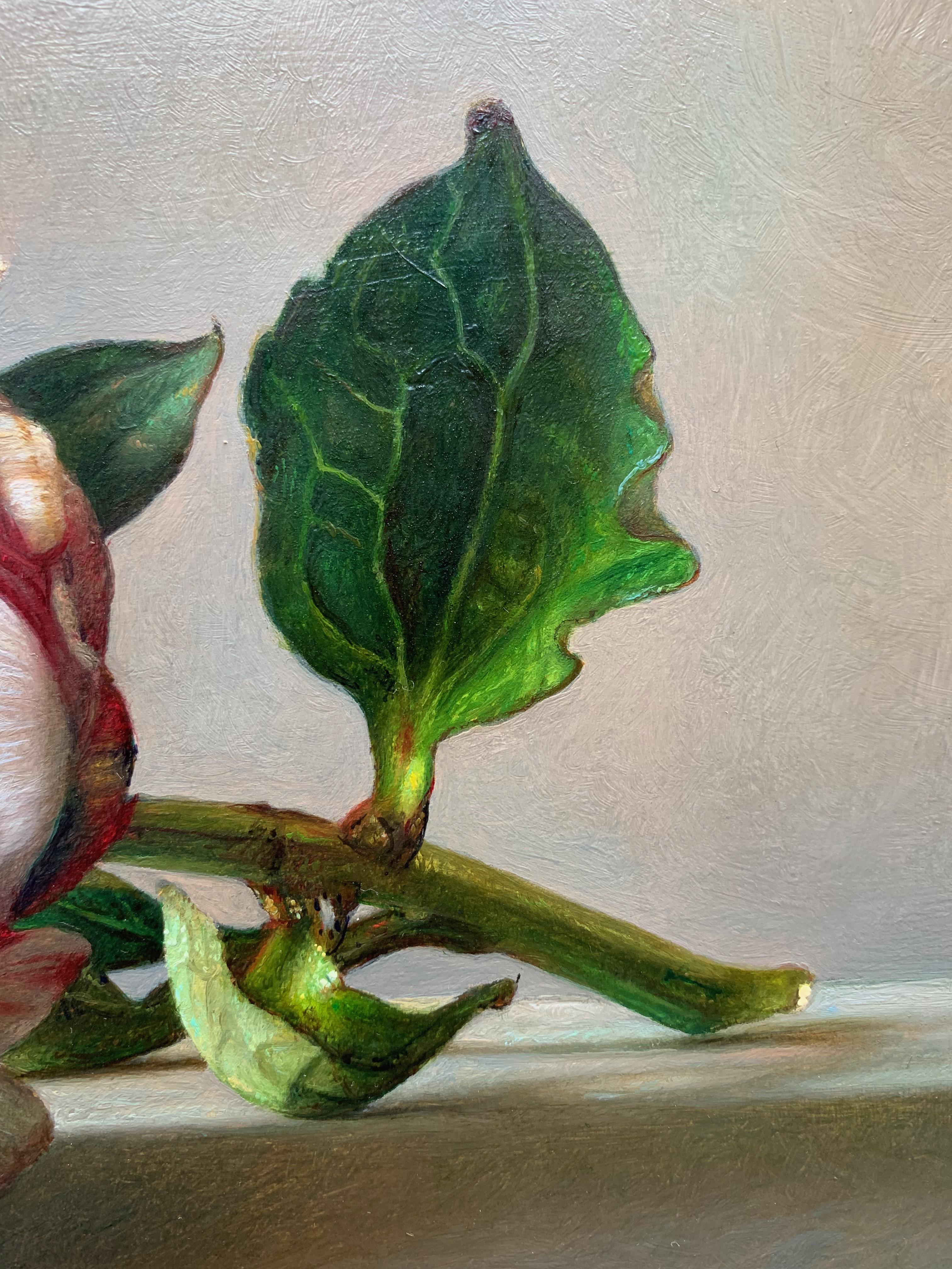 Bodegón contemporáneo rosa peonía tumbada sobre una piedra fina pintura al óleo - Still-Life Painting Marrón de Gianluca Corona