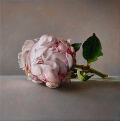 Bodegón contemporáneo rosa peonía tumbada sobre una piedra fina pintura al óleo
