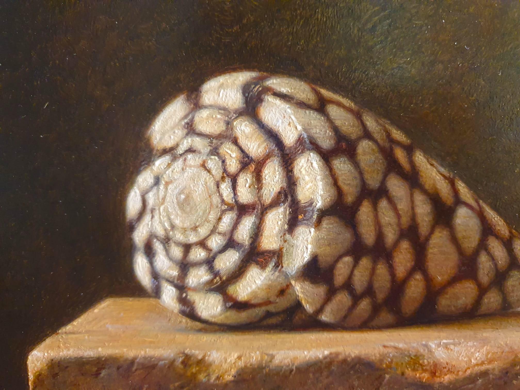 Contemporáneo Conus Marmoreus concha acostado en una piedra fina pintura al óleo - Painting de Gianluca Corona