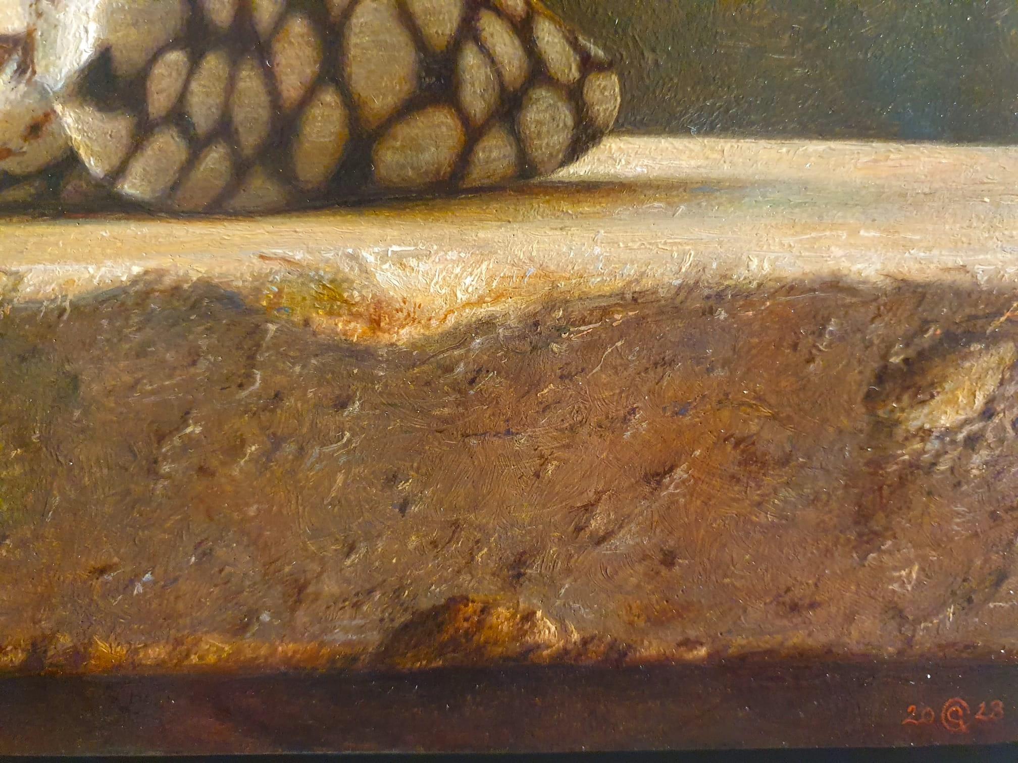 Contemporáneo Conus Marmoreus concha acostado en una piedra fina pintura al óleo - Painting Realista de Gianluca Corona