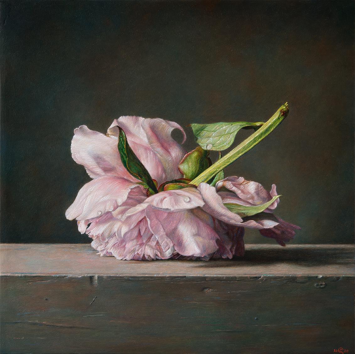 Gianluca Corona Figurative Painting - Pink flower over black, still life painting by master italian artist