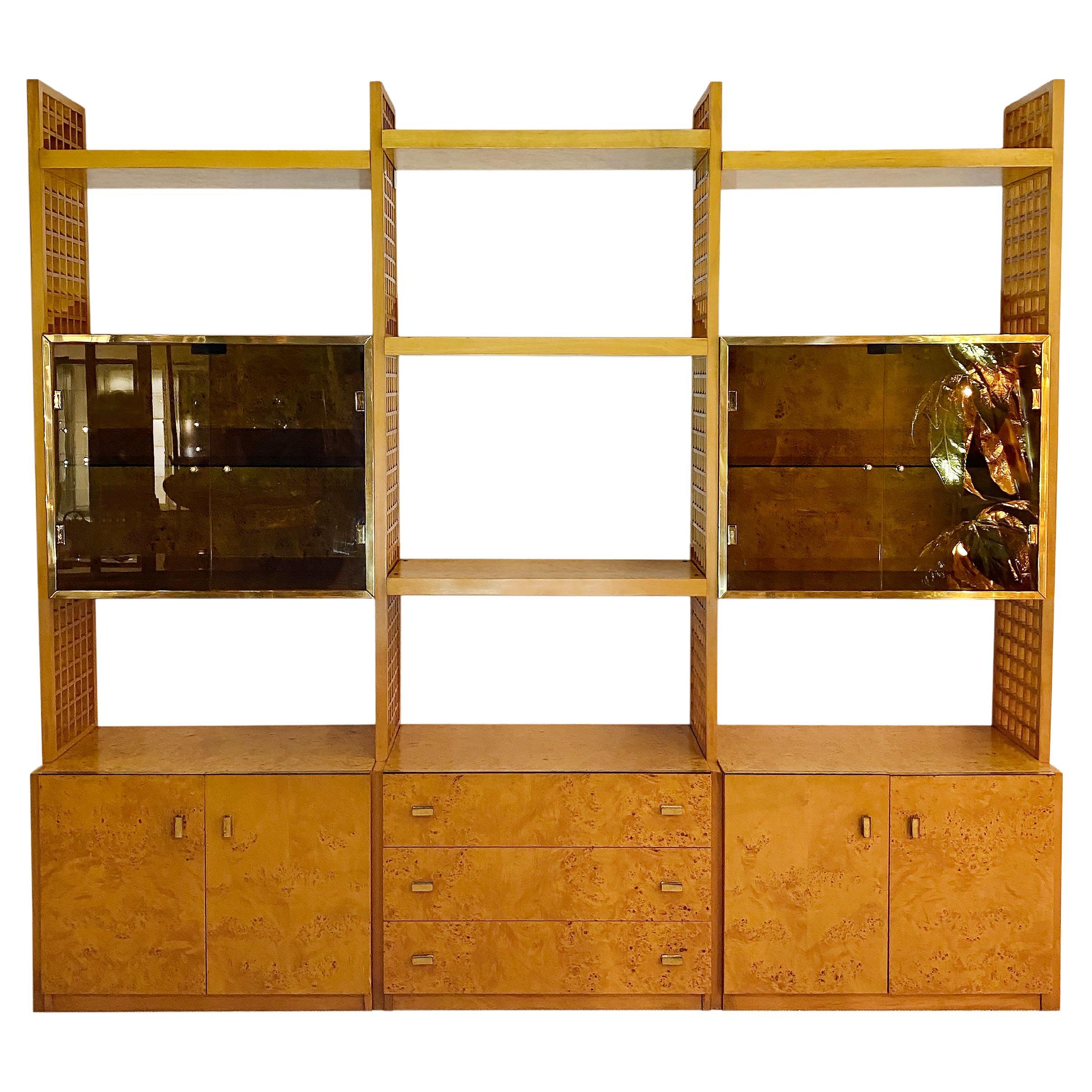 Gianluigi Gorgoni 1970s Brass Burl Wood Glass Display Cabinet Bookshelf Rizzo  For Sale