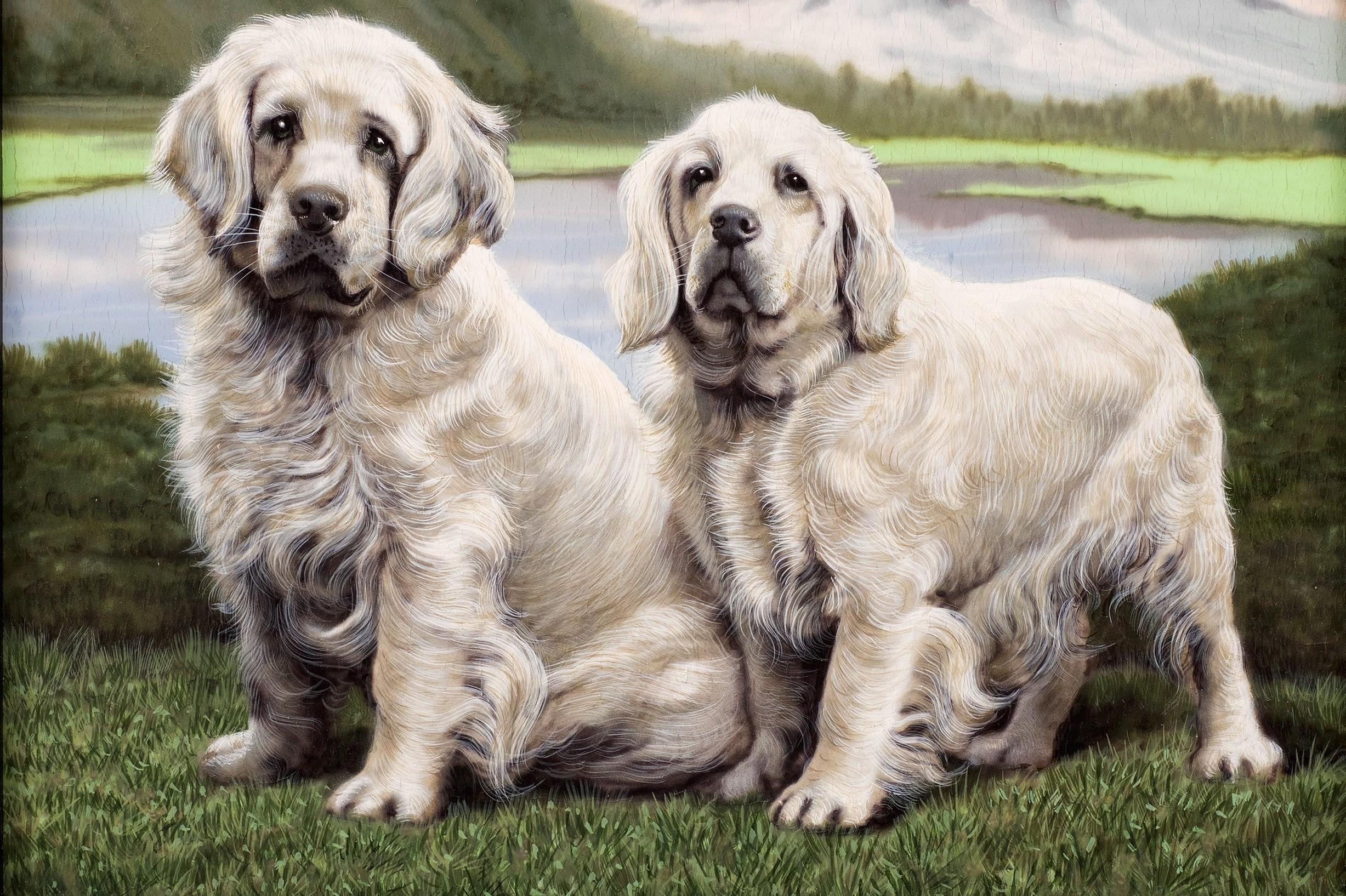 Paar Labrador Retriever, Gianni Reggio (Italiener, 1898-1961) im Angebot 8