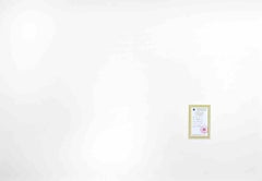 Recall - Serigrafía de Gianni Testa - Finales del siglo XX