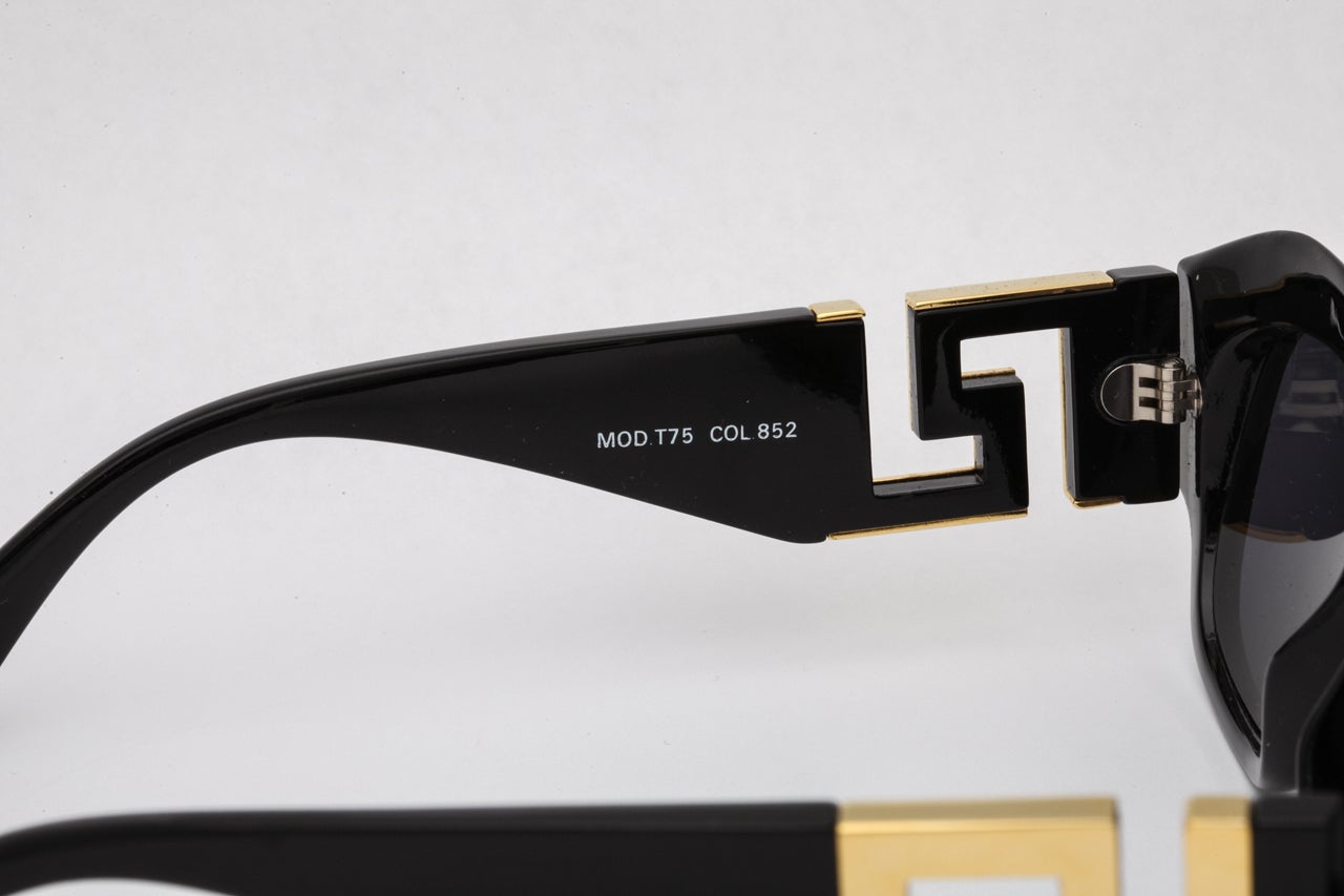 Men's Gianni Versace Mod T75 COL 852 Sunglasses  For Sale
