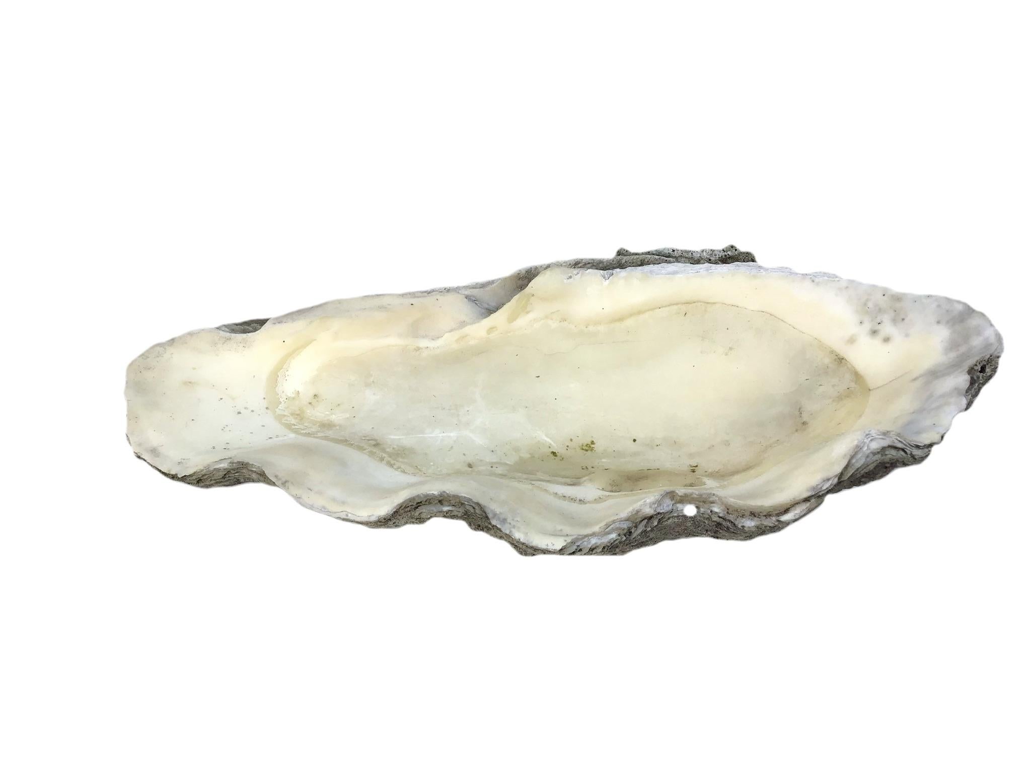 clam shell open