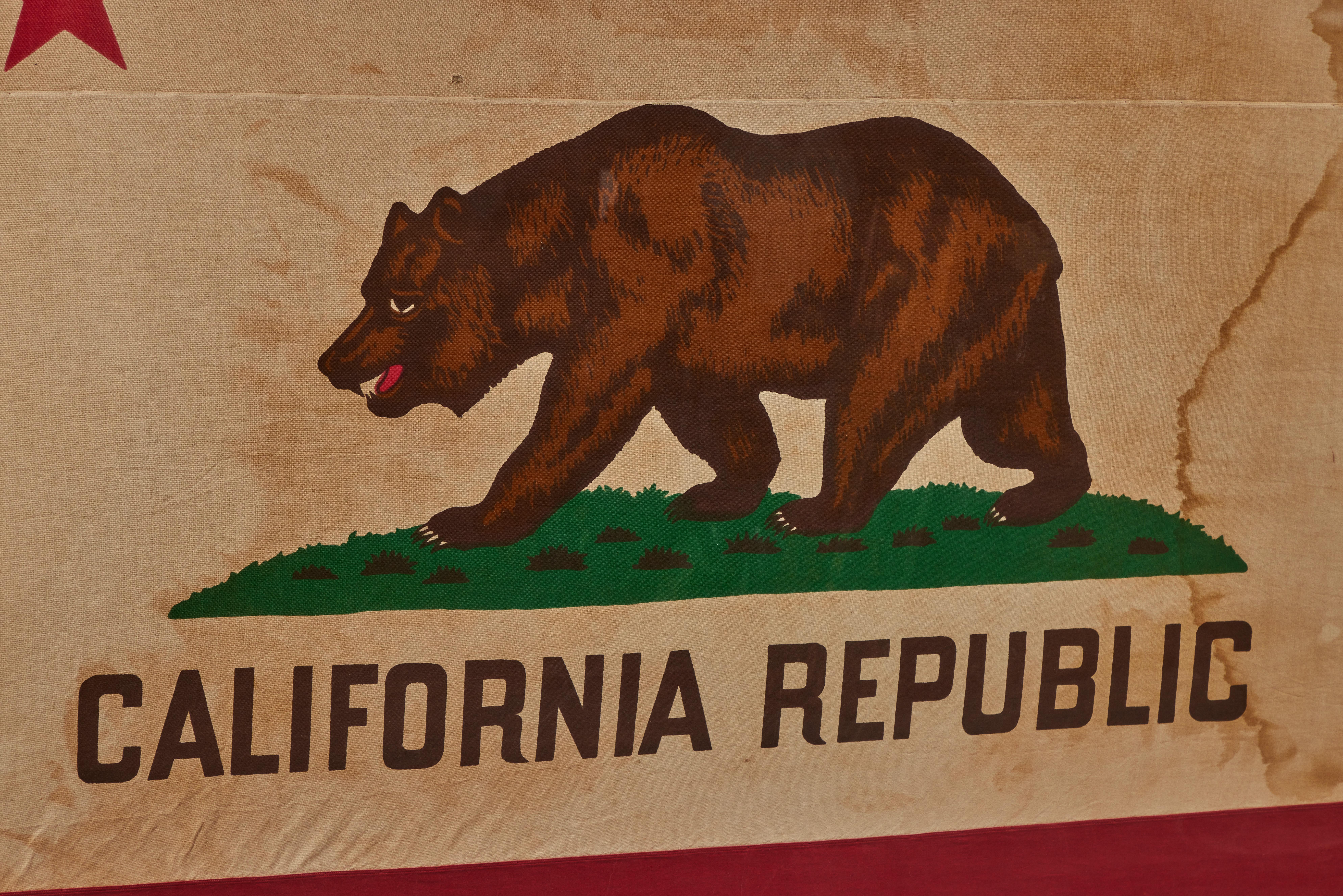 framed california flag
