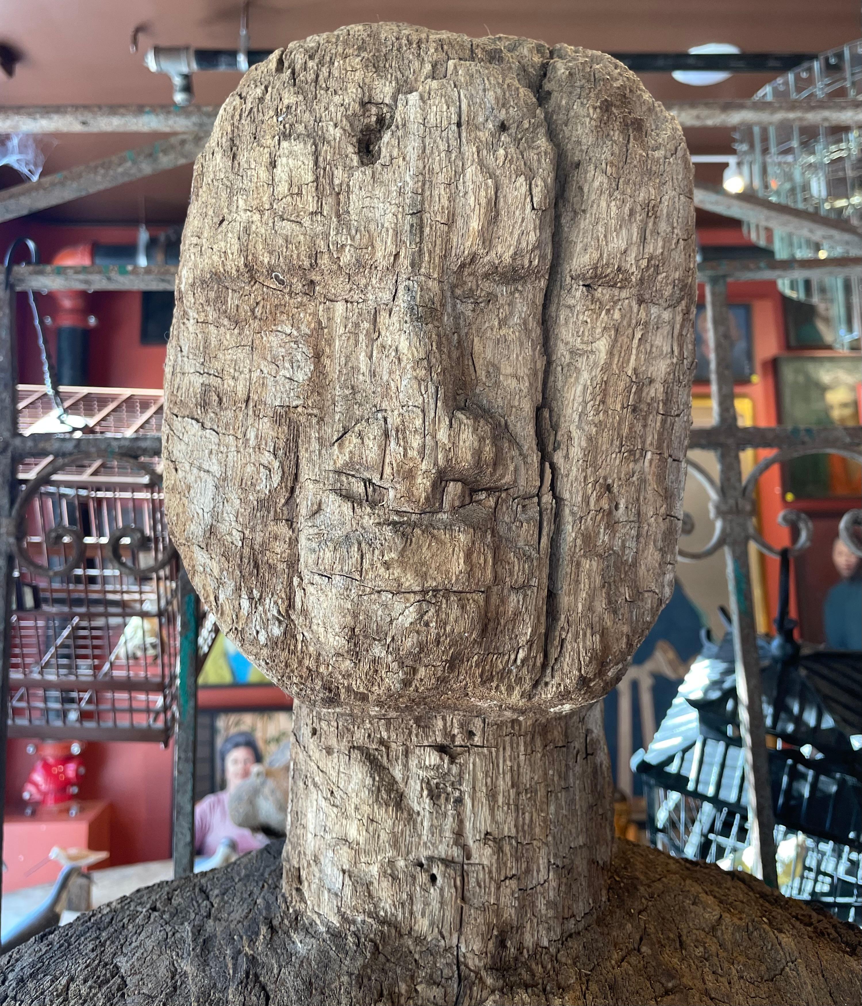 Gigantisches 19. Jh. Sitzender Sri Lankanischer Buddha  (Holz) im Angebot