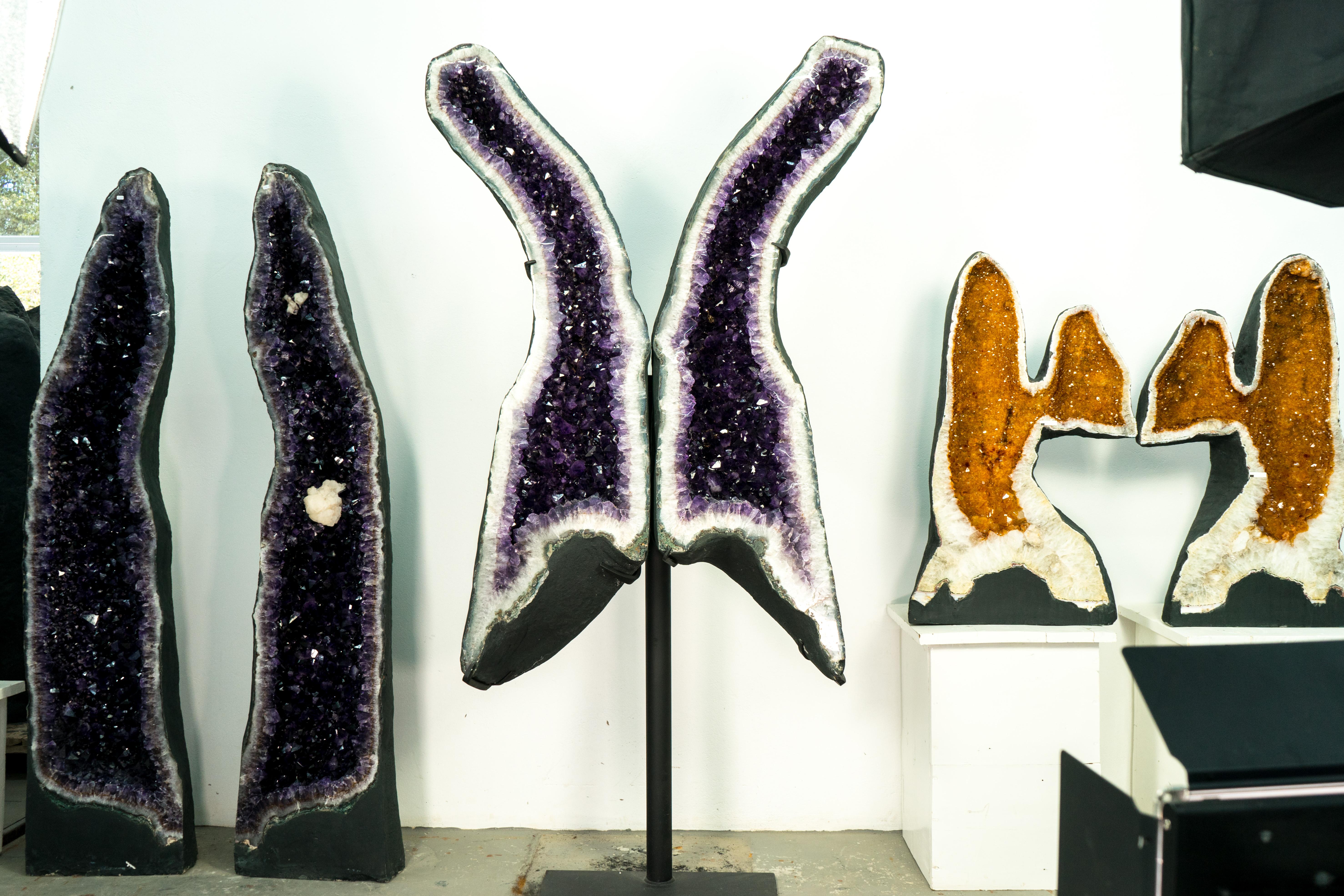 Rare Giant AAA Amethyst Wings: 2 Meters (6.4 Feet) Tall, High-Grade Aesthetic Amethyst to Elevate Any Space or Collection

▫️ Description

Our Giant AAA Amethyst Wings, standing 2 meters tall and growing like incomparable sculptures, will elevate