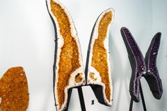 Giant 7.22 Ft Citrine Butterfly Geode Wings