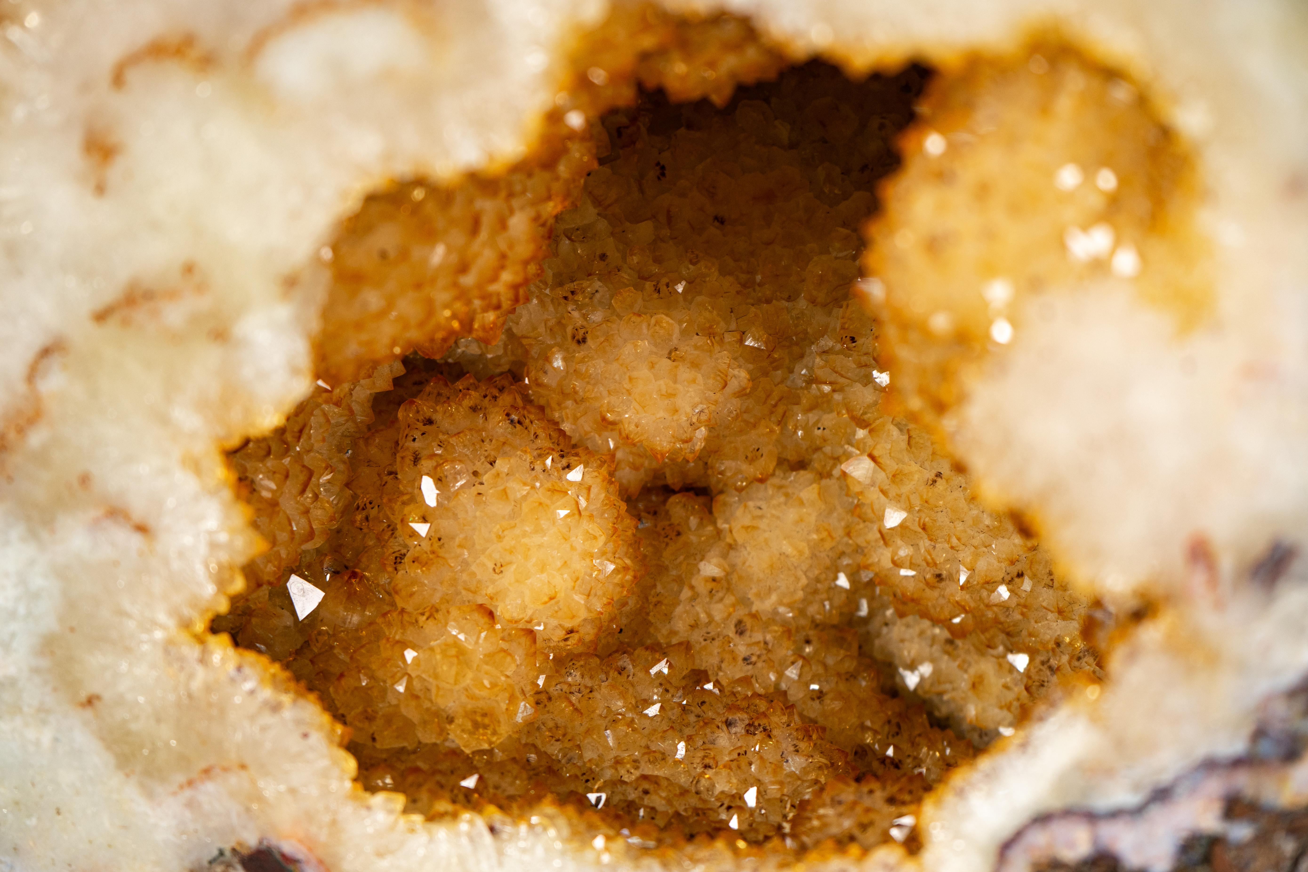 Ali giganti di geode di farfalla citrina da 7,22 piedi In condizioni Nuovo in vendita a Ametista Do Sul, BR