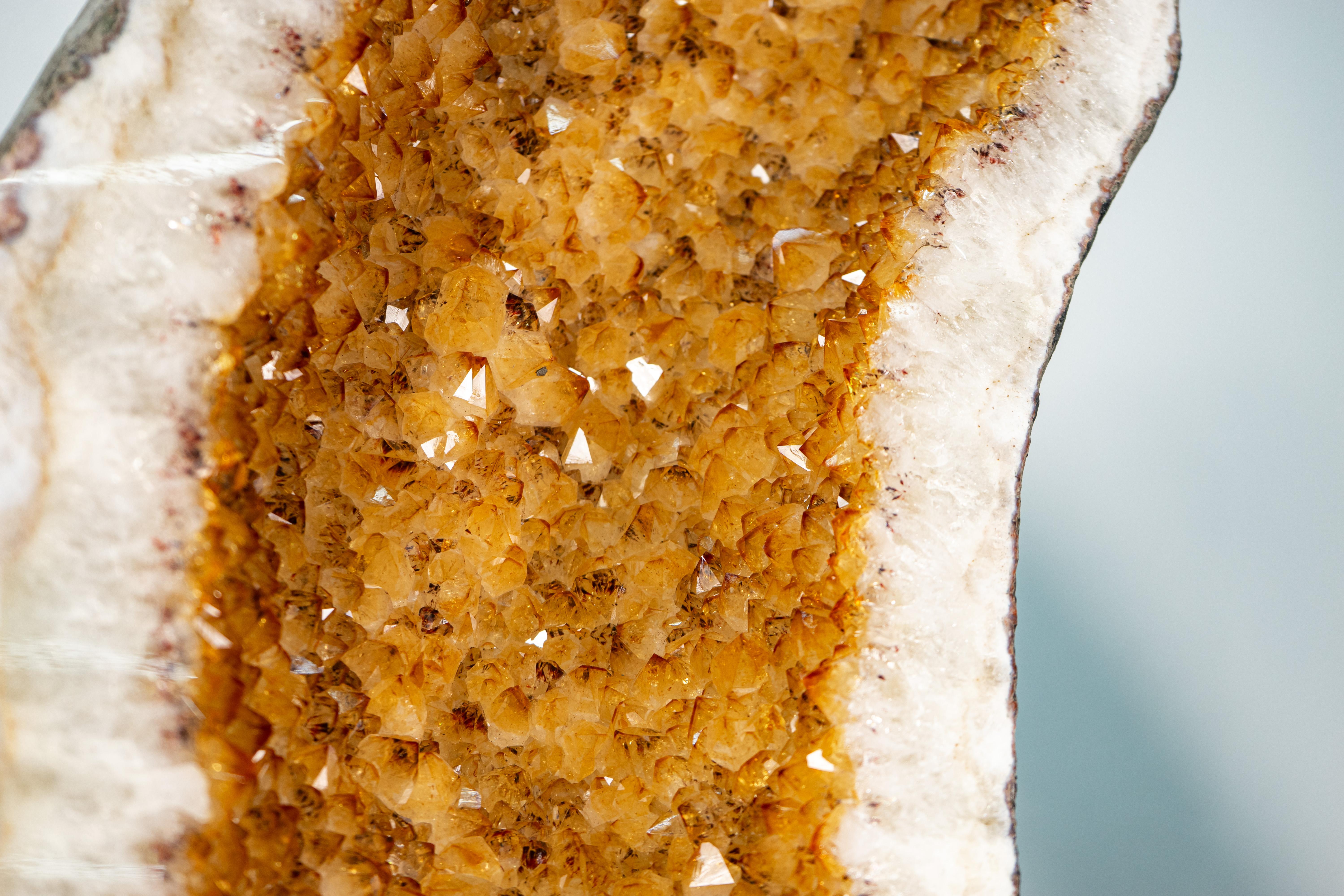 XXI secolo e contemporaneo Ali giganti di geode di farfalla citrina da 7,22 piedi in vendita