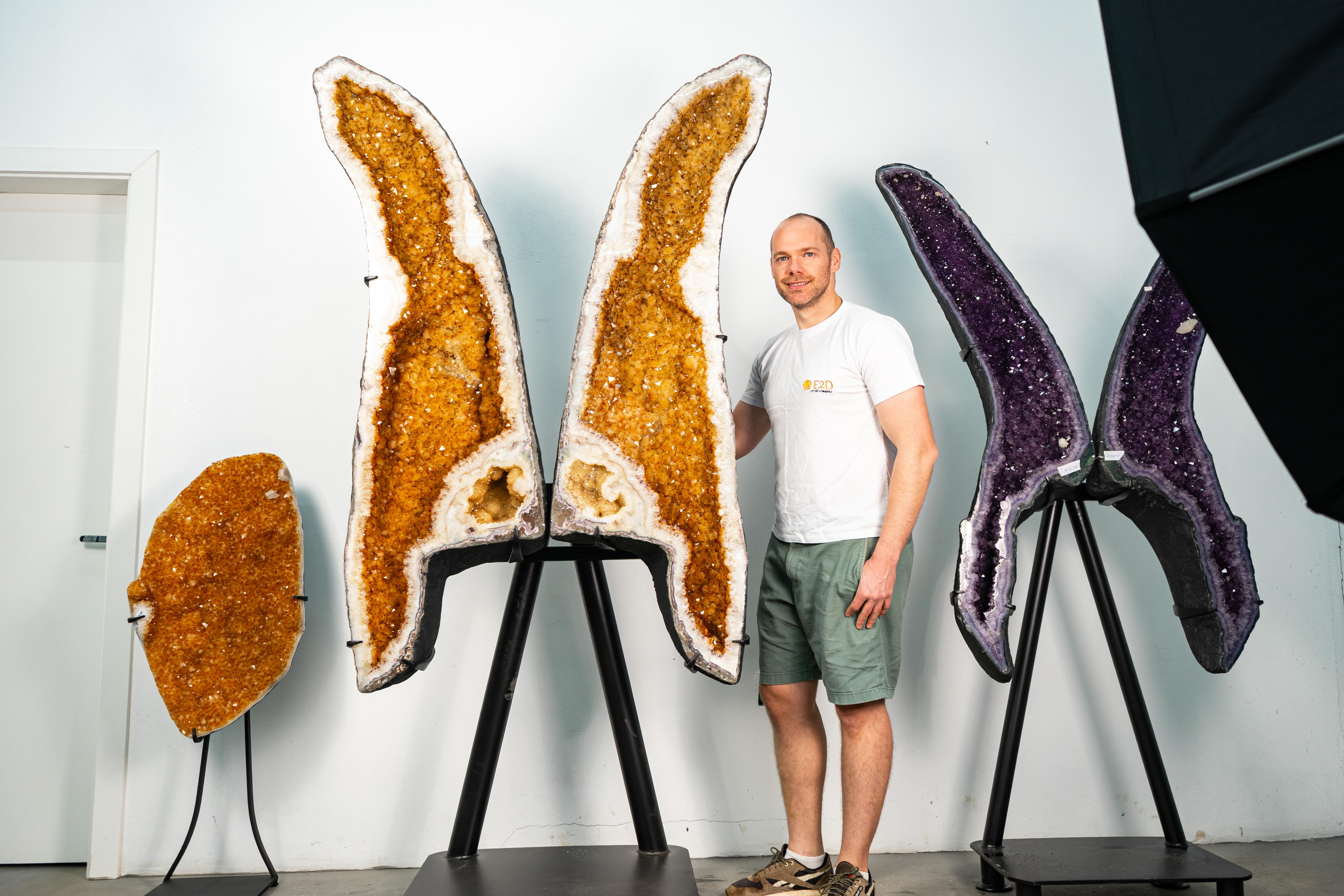 Ali giganti di geode di farfalla citrina da 7,22 piedi in vendita 2