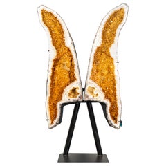 Ali giganti di geode di farfalla citrina da 7,22 piedi