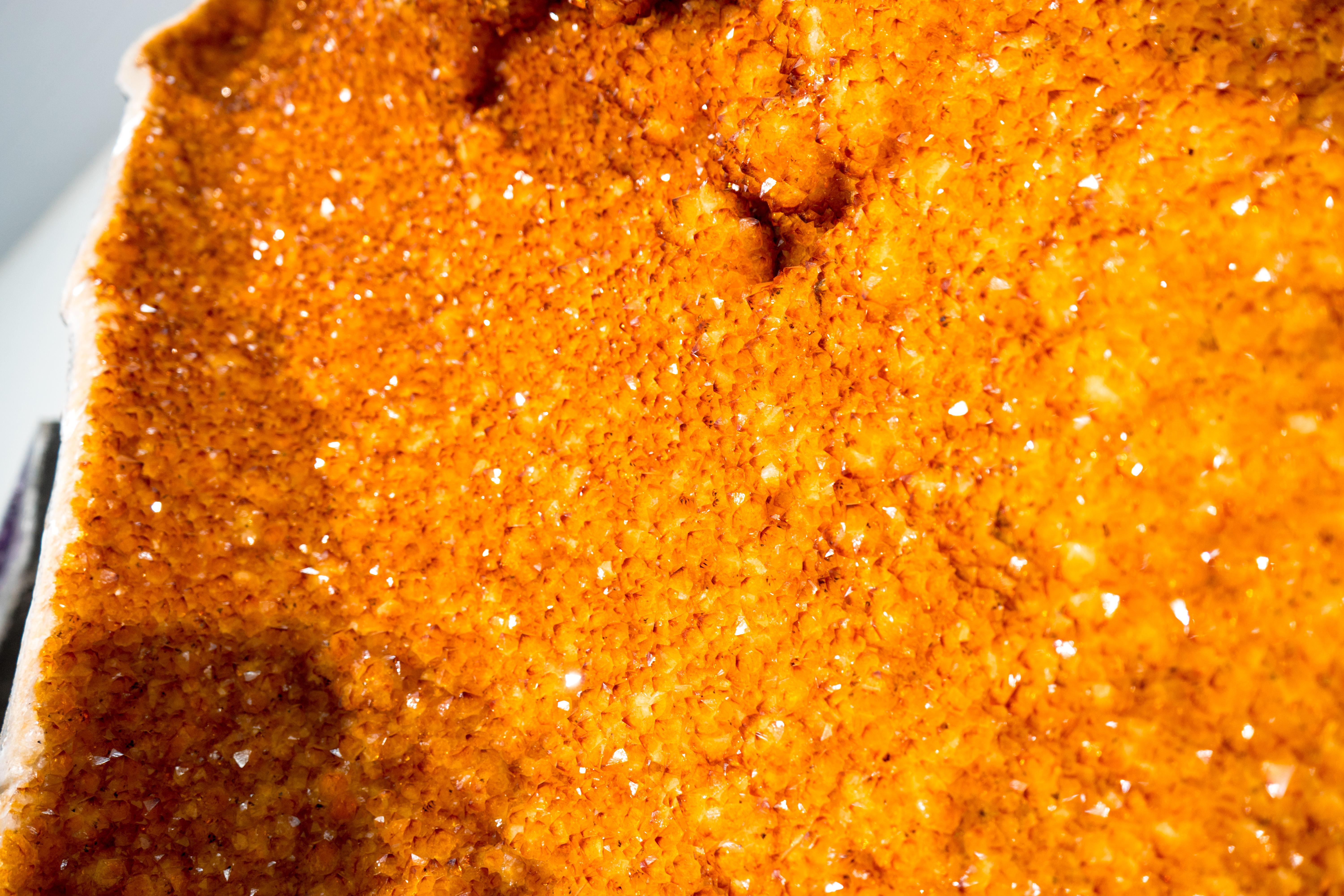 Alas gigantes de geoda de citrino dorado de 7,6 pies - Pareja de calidad de museo, obra maestra natural en venta 6