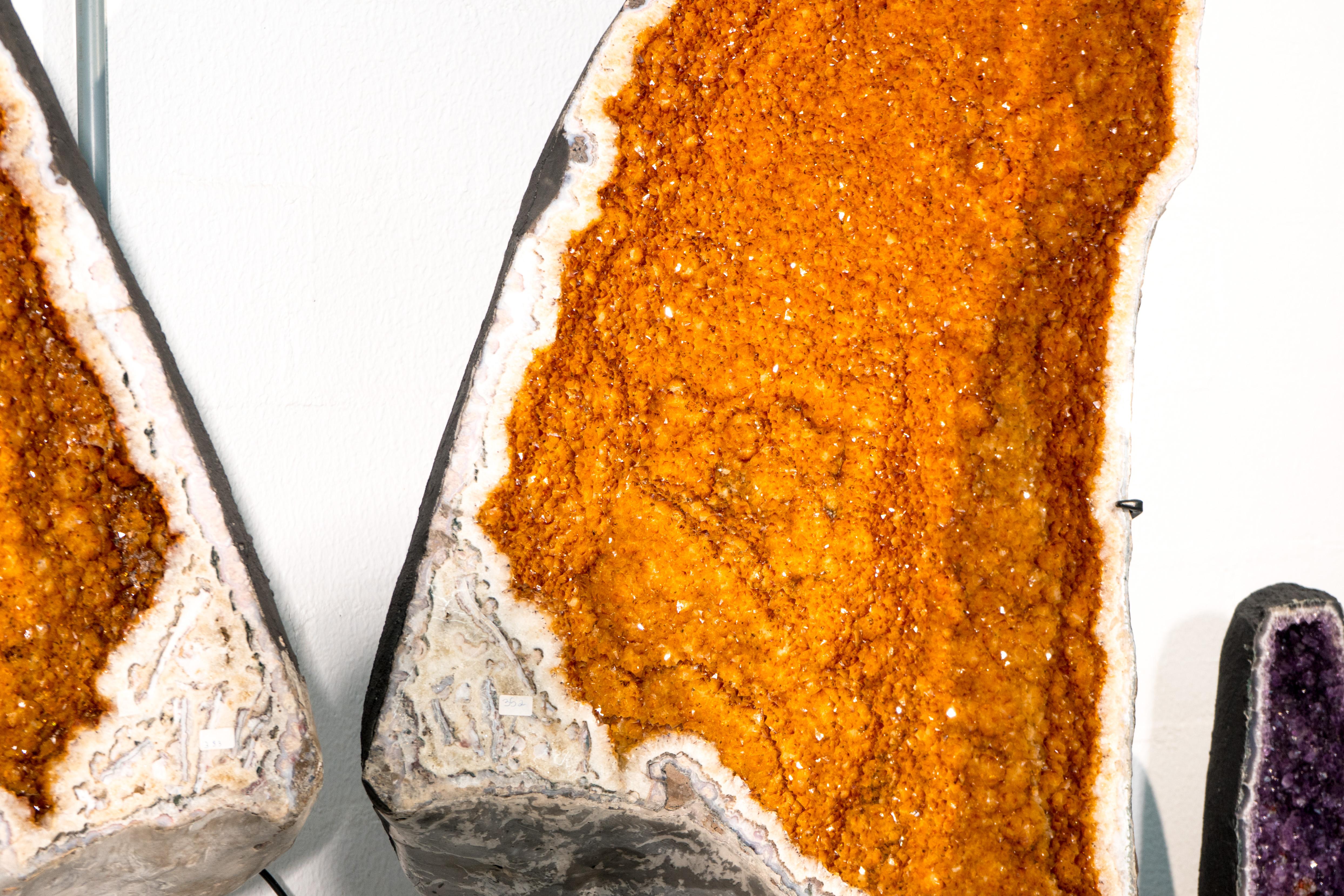 Alas gigantes de geoda de citrino dorado de 7,6 pies - Pareja de calidad de museo, obra maestra natural en venta 8