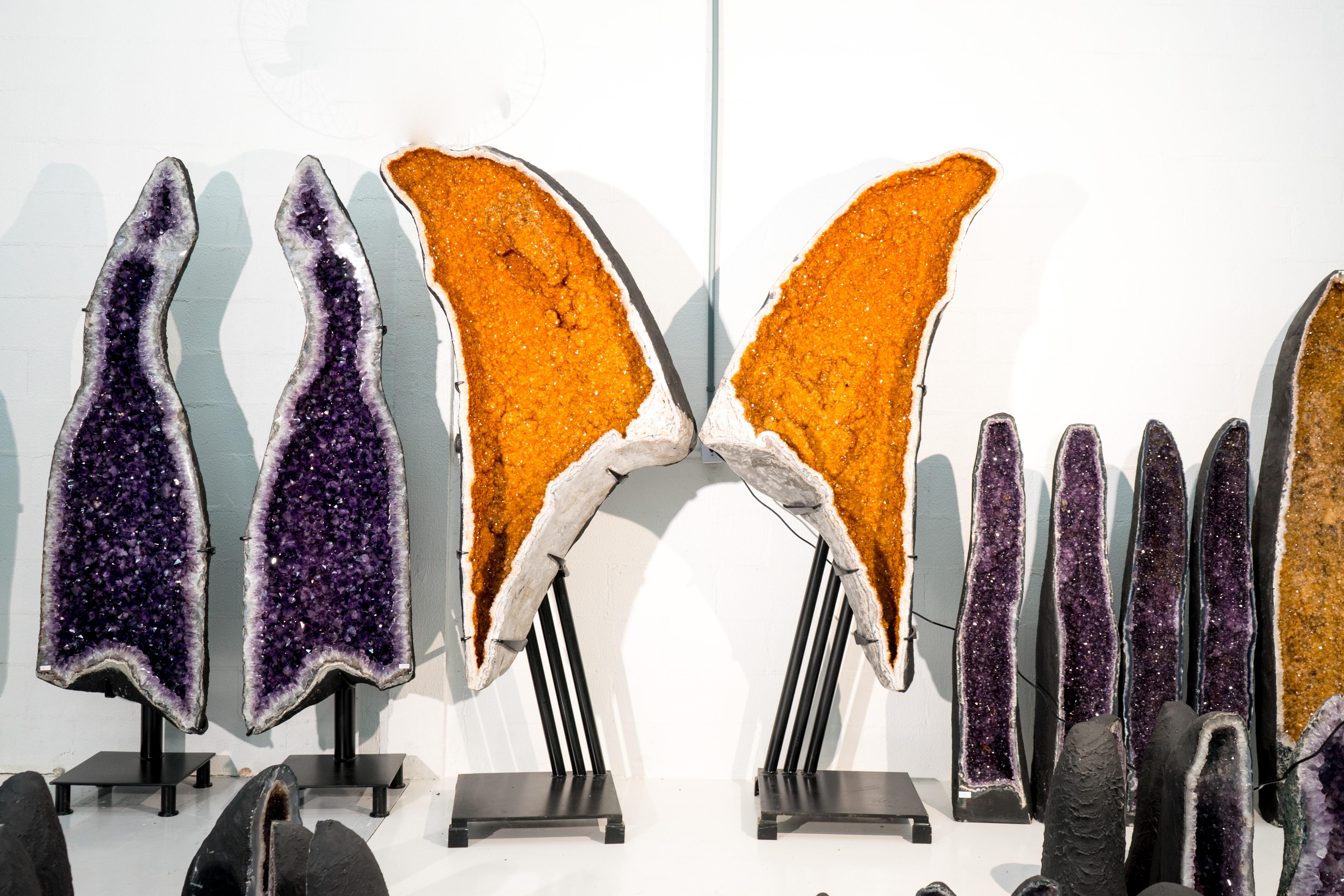 Conjunto de Geodas Gigantes de Citrino Bookmatched como Alas con Druzy Naranja Dorado de Alto Grado - Consideradas las Mejores Alas de Citrino X-Grandes del Mundo

▫️ Descripción

Gigantescas en tamaño, fabulosas en belleza y estética, y engarzadas